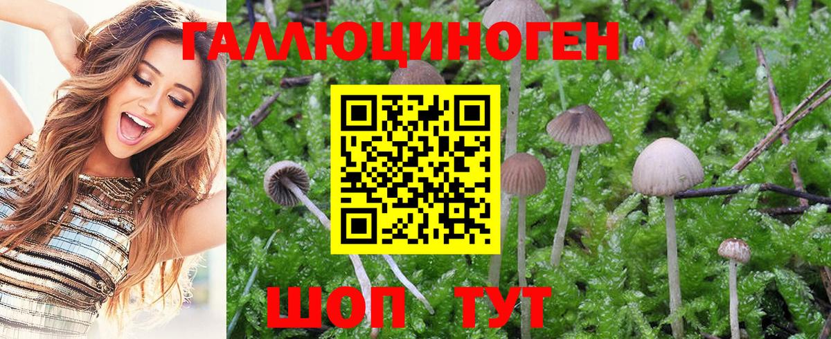 Псилоцибиновые грибы ЛСД Балаково